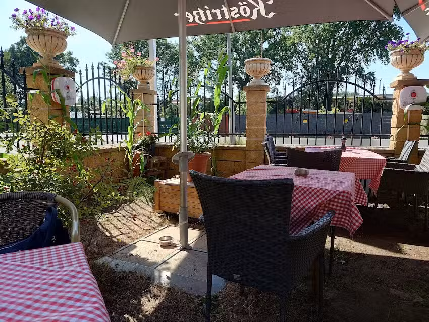 Il Gatto &ndash; Waldkater