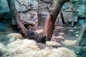 Imbiss Zooterrassen