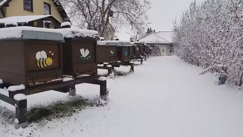 Imkerei Andreas Metzner