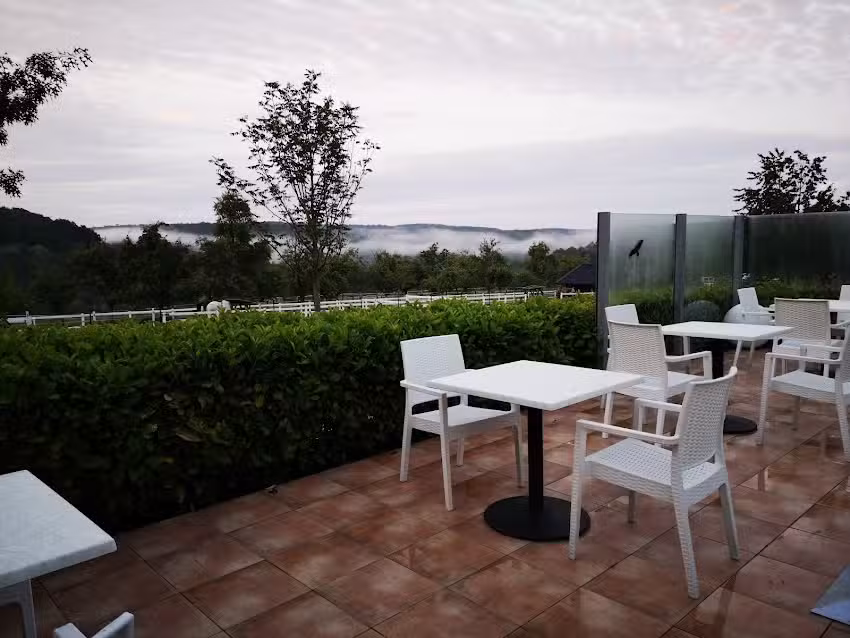 Janssen&rsquo;s im Waldacker &ndash; Frank Janssen