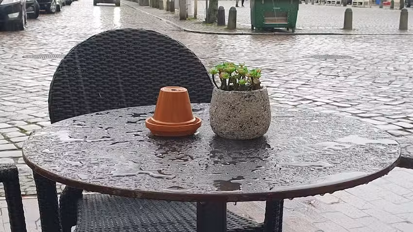 Junge Die B&auml;ckerei.