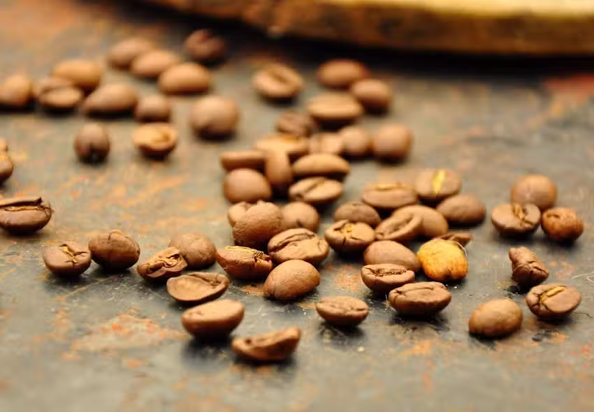 Kaffee-R&ouml;sterei Bogatz