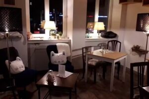 Katzencaf&eacute; Miezhaus