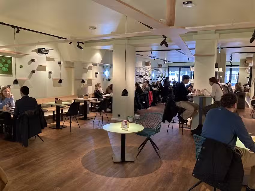 Katzentempel Hannover