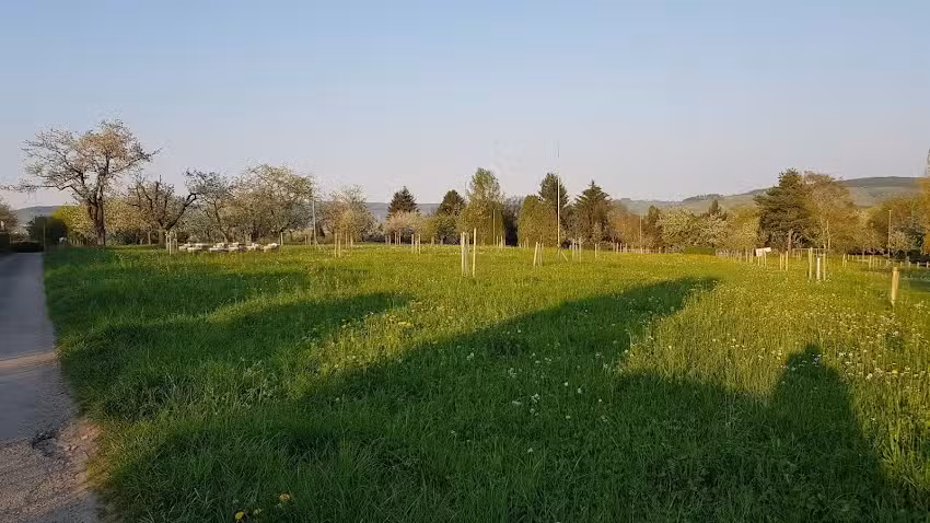 KGV Rommelshausen e.V.