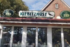 Kiebitznüst