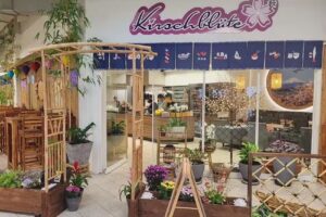 Kirschblüte Ramstein