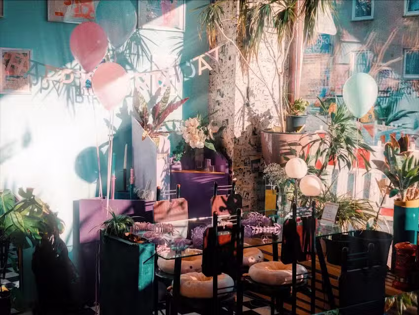 Kitchen & Coffee House – Katzenauge