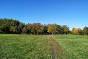 Kleingartenverein Probstheida