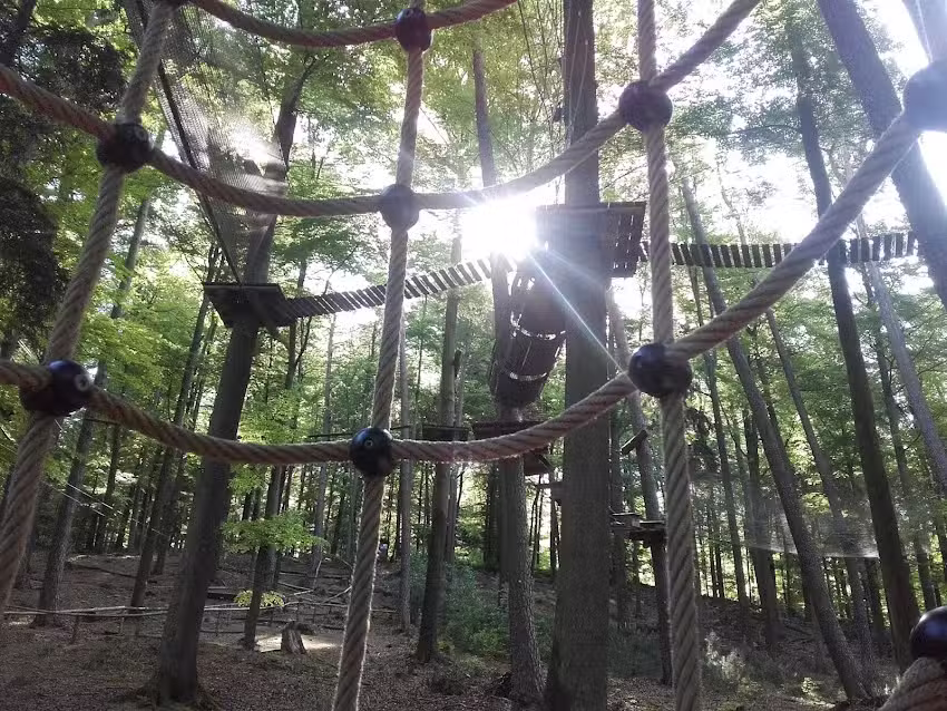 Kletterwald Spessart