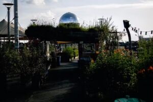 Klunkerkranich