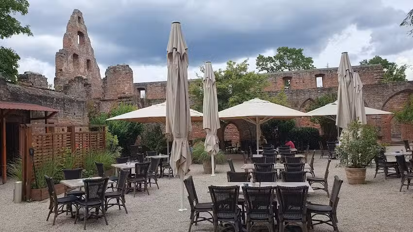 KONRAD2 auf der Klosterruine Limburg