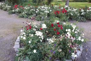 Kurpark Wremen