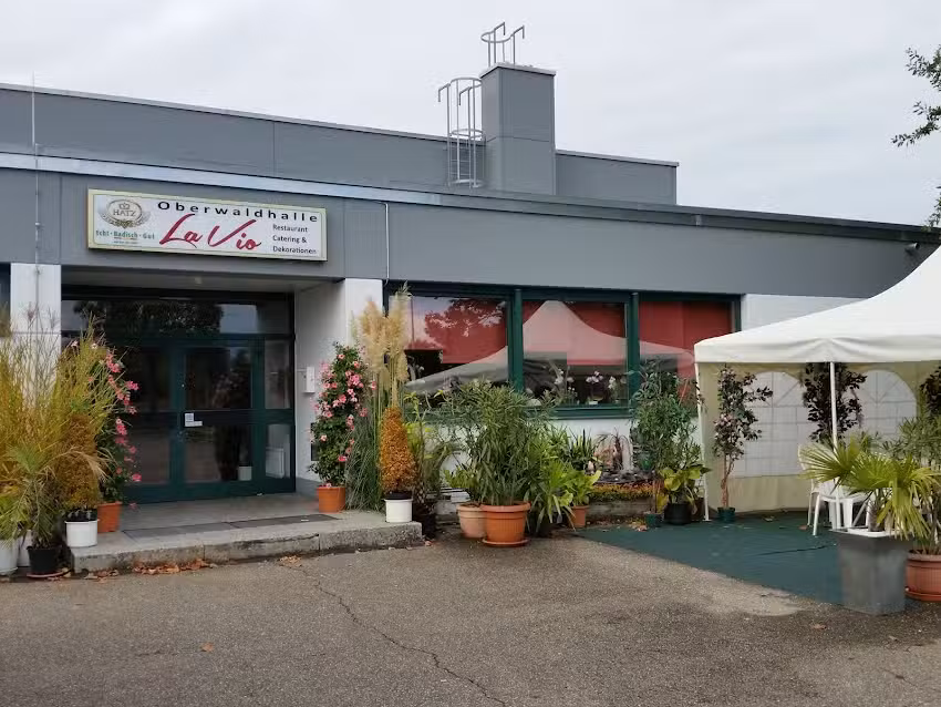 La Vio &ndash; Violetta Pundichi