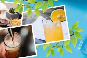 LALINO Freizeitgarten Plus