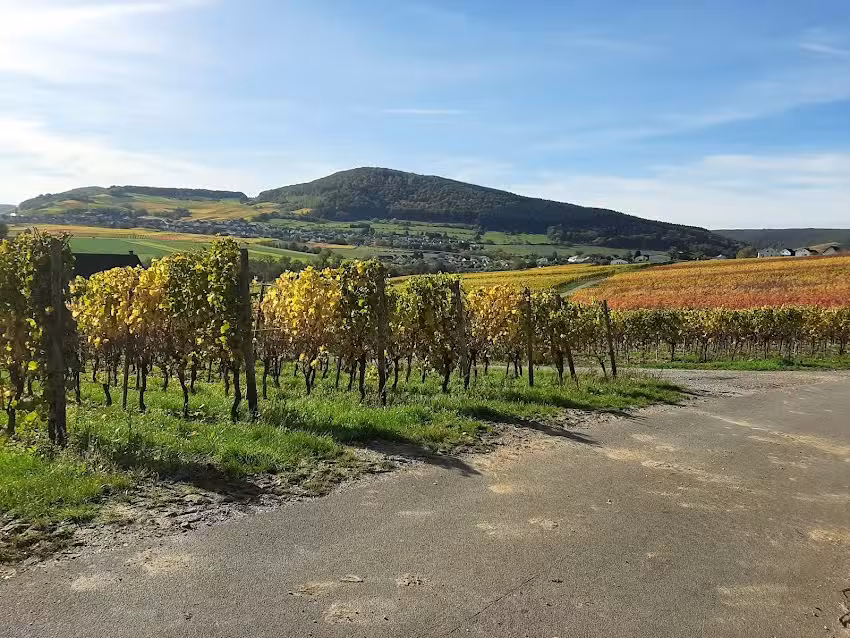 Landgasthof Michels Scheier