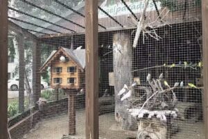 Landgaststätte Schlaitz