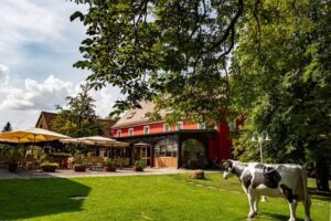 Landidyll Hotel Erbgericht Tautewalde – LET Tautewalde GmbH