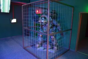 Lasertag Altenkirchen