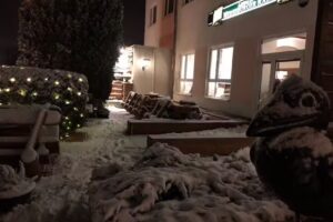 Liewalds Merseburger Rabe