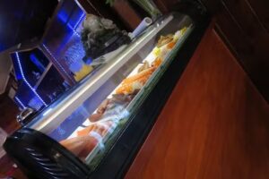 Lino Restaurant & Sushibar