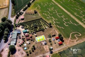 Maislabyrinth am Edersee