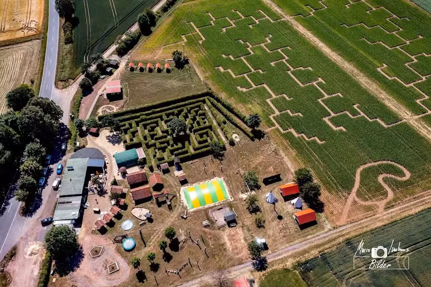 Maislabyrinth am Edersee