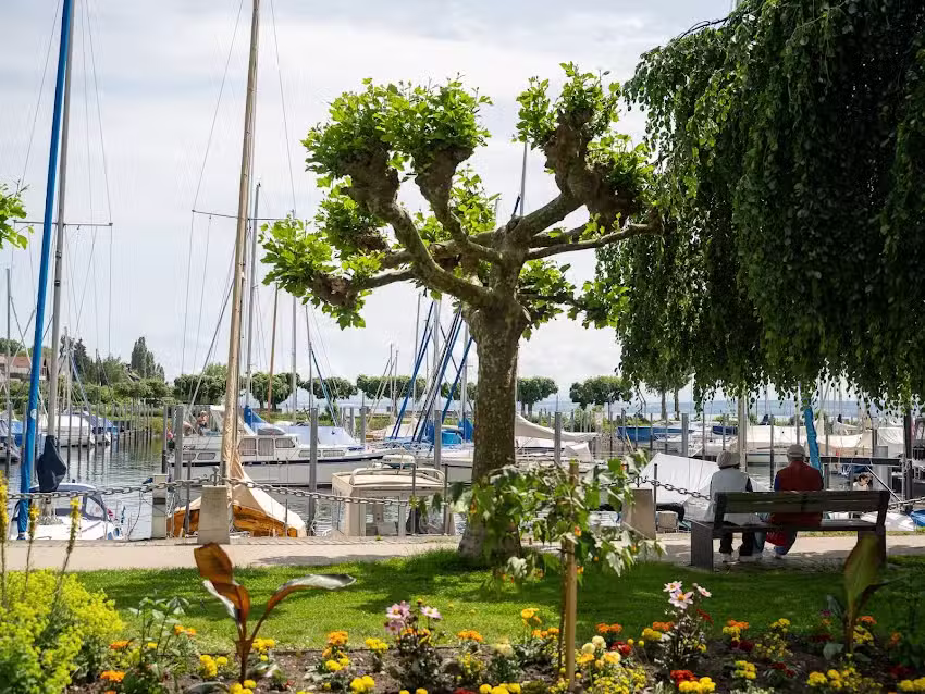 Mediterra Hotel und Restaurant