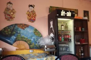Mekong Bringdienst Peine