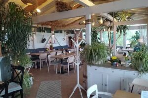 mijo café lounge