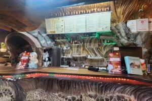 Minerva Pizza