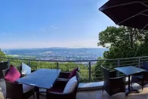 Monopol – Restaurant & Lounge