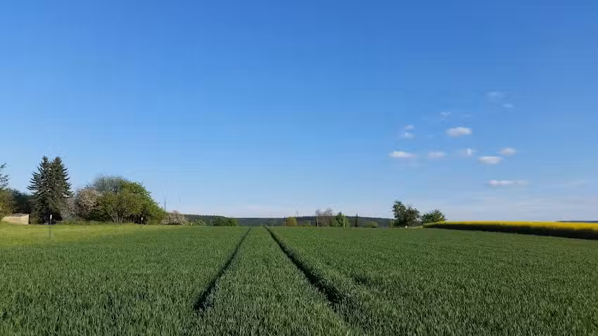 Nackterhof 12