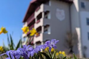 Natur- und Wohlfühlhotel Kastenholz