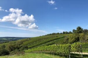 Obst und Gartenbau Verein Dietlingen