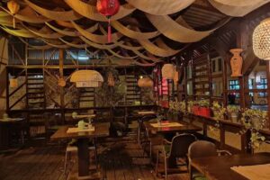 Orchidee &ndash; Magdeburg