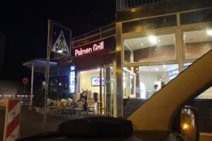 Palmen Grill 2