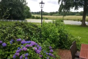 Peiner Hof Restaurant & Café