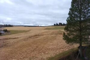 Pension Bauernstübl