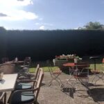 PINO Restaurant
