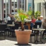 Pizza & Nudelhaus