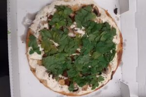 Pizzaland