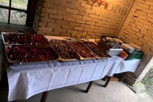 Pizzeria L’Amore Mesum