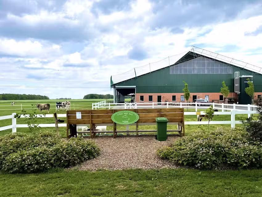 Q-Eis vom Hof Spannhake