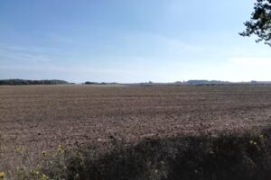 Reni’s Futter Hütte