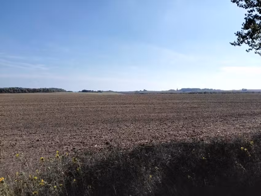 Reni’s Futter Hütte