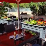 Restaurant Dalmatino