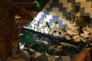 Restaurant Ha-Long-Bucht