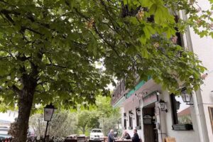 Restaurant Hedwig-Grill