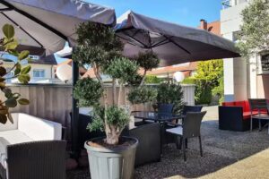 Restaurant KONSTANTINOS Friedrichshafen
